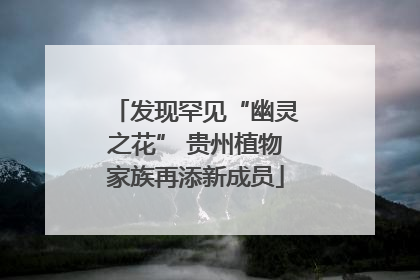 发现罕见“幽灵之花” 贵州植物家族再添新成员