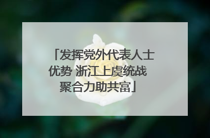 发挥党外代表人士优势 浙江上虞统战聚合力助共富