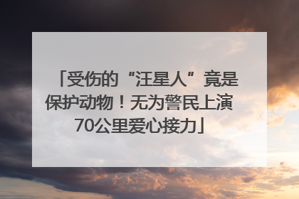 受伤的“汪星人”竟是保护动物！无为警民上演70公里爱心接力