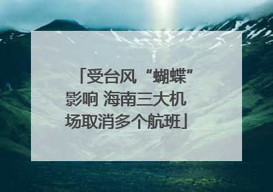 受台风“蝴蝶”影响 海南三大机场取消多个航班