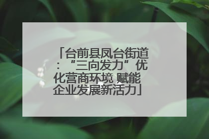台前县凤台街道：“三向发力”优化营商环境 赋能企业发展新活力