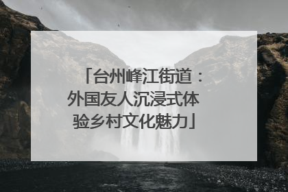 台州峰江街道：外国友人沉浸式体验乡村文化魅力