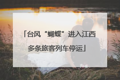 台风“蝴蝶”进入江西 多条旅客列车停运
