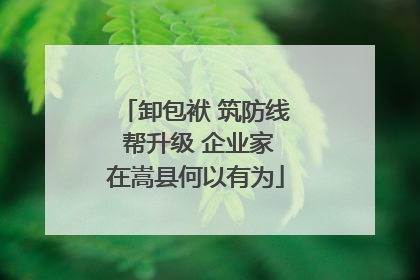 卸包袱 筑防线 帮升级 企业家在嵩县何以有为