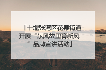 十堰张湾区花果街道开展“东风故里育新风”品牌宣讲活动
