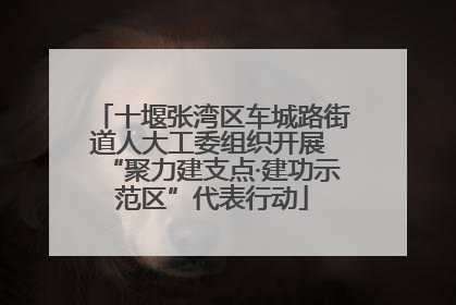 十堰张湾区车城路街道人大工委组织开展 “聚力建支点·建功示范区”代表行动