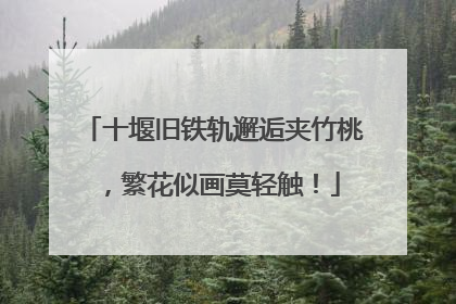 十堰旧铁轨邂逅夹竹桃，繁花似画莫轻触！