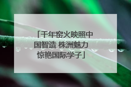 千年窑火映照中国智造 株洲魅力惊艳国际学子