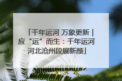 千年运河 万象更新｜应“运”而生：千年运河河北沧州段展新颜