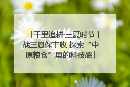 千里追耕·三夏时节丨战三夏保丰收 探索“中原粮仓”里的科技感