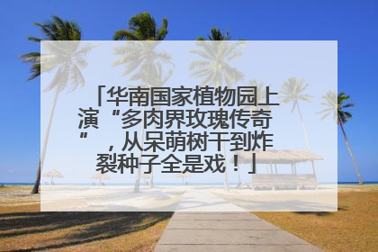 华南国家植物园上演“多肉界玫瑰传奇”，从呆萌树干到炸裂种子全是戏！