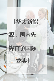 华太新能源：国内先锋奋争国际龙头