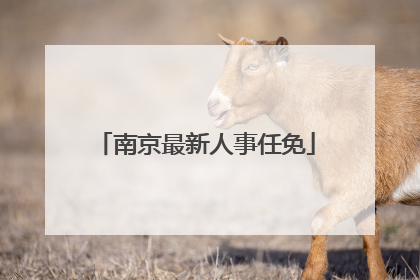南京最新人事任免