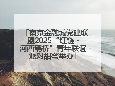 南京金融城党建联盟2025“红链・河西鹊桥”青年联谊派对甜蜜举办