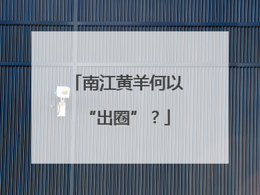 南江黄羊何以“出圈”？