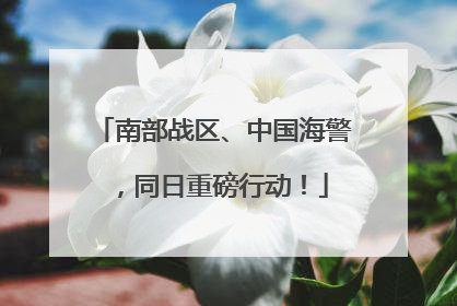 南部战区、中国海警，同日重磅行动！