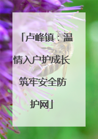 卢峰镇：温情入户护成长 筑牢安全防护网