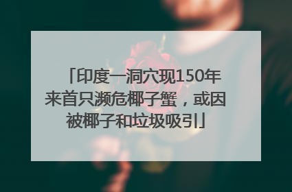 印度一洞穴现150年来首只濒危椰子蟹，或因被椰子和垃圾吸引