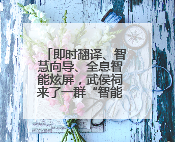 即时翻译、智慧向导、全息智能炫屏，武侯祠来了一群“智能导游”