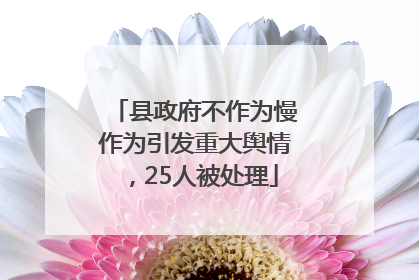 县政府不作为慢作为引发重大舆情，25人被处理