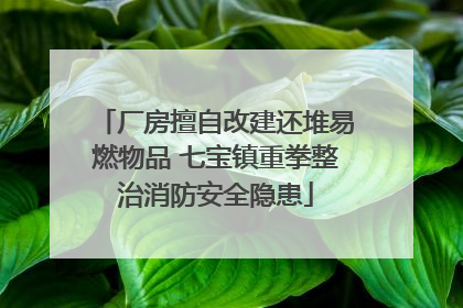厂房擅自改建还堆易燃物品 七宝镇重拳整治消防安全隐患