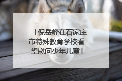 倪岳峰在石家庄市特殊教育学校看望慰问少年儿童