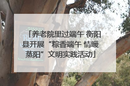养老院里过端午 衡阳县开展“粽香端午 情暖蒸阳”文明实践活动
