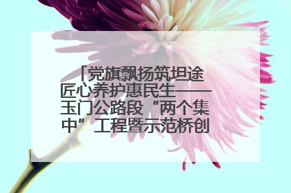 党旗飘扬筑坦途 匠心养护惠民生——玉门公路段“两个集中”工程暨示范桥创建项目圆满收官