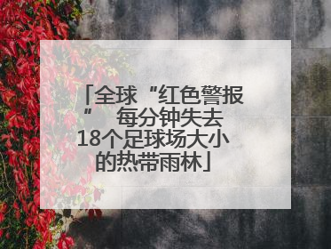 全球“红色警报”  每分钟失去18个足球场大小的热带雨林