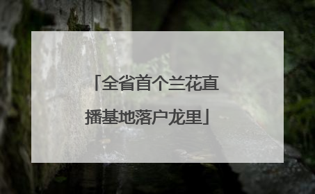 全省首个兰花直播基地落户龙里