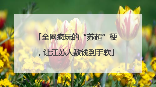 全网疯玩的“苏超”梗，让江苏人数钱到手软