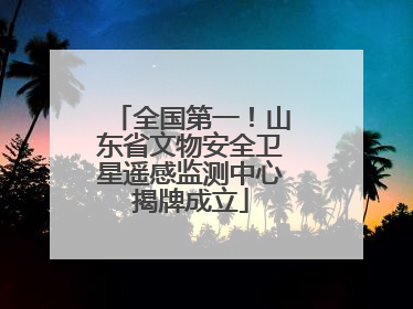 全国第一！山东省文物安全卫星遥感监测中心揭牌成立