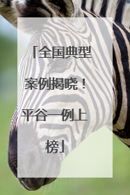 全国典型案例揭晓！平谷一例上榜