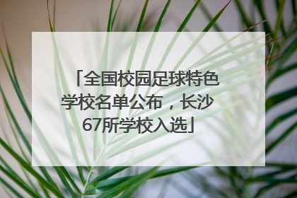 全国校园足球特色学校名单公布，长沙67所学校入选