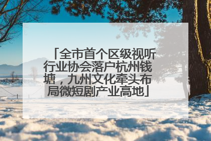 全市首个区级视听行业协会落户杭州钱塘，九州文化牵头布局微短剧产业高地