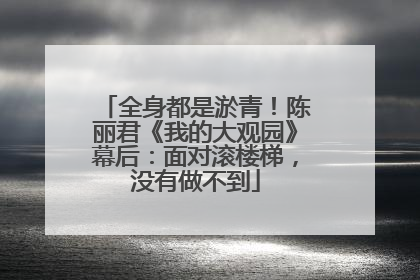 全身都是淤青！陈丽君《我的大观园》幕后：面对滚楼梯，没有做不到