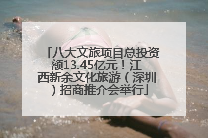 八大文旅项目总投资额13.45亿元！江西新余文化旅游（深圳）招商推介会举行