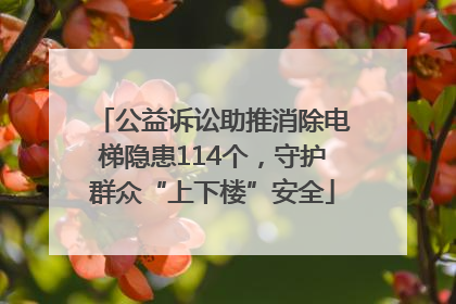 公益诉讼助推消除电梯隐患114个，守护群众“上下楼”安全
