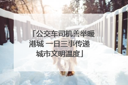 公交车司机善举暖港城 一日三事传递城市文明温度