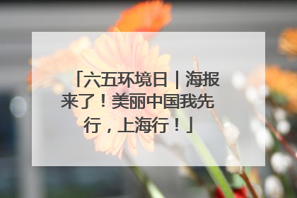 六五环境日｜海报来了！美丽中国我先行，上海行！