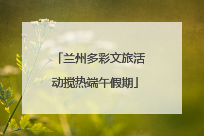 兰州多彩文旅活动搅热端午假期