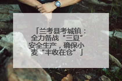 兰考县考城镇：全力备战“三夏”安全生产，确保小麦“丰收在仓”