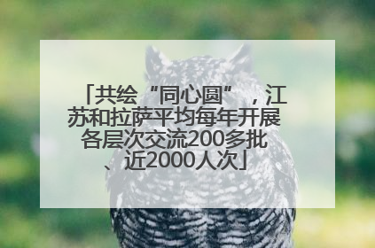 共绘“同心圆”，江苏和拉萨平均每年开展各层次交流200多批、近2000人次