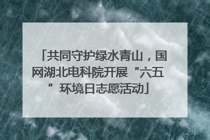 共同守护绿水青山，国网湖北电科院开展“六五”环境日志愿活动