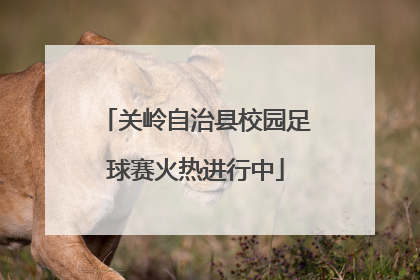 关岭自治县校园足球赛火热进行中