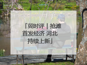 冀时评｜抢滩首发经济 河北持续上新
