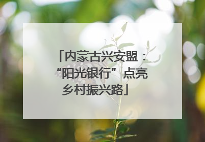 内蒙古兴安盟：“阳光银行”点亮乡村振兴路