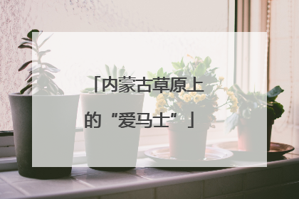 内蒙古草原上的“爱马士”
