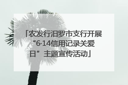 农发行汨罗市支行开展“6·14信用记录关爱日”主题宣传活动