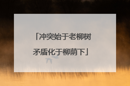 冲突始于老柳树 矛盾化于柳荫下